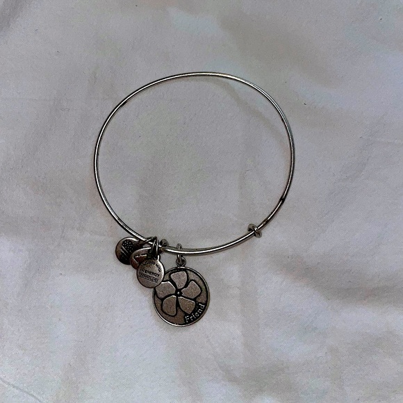 Alex and Ani Silver Friend bracelet - Picture 1 of 1